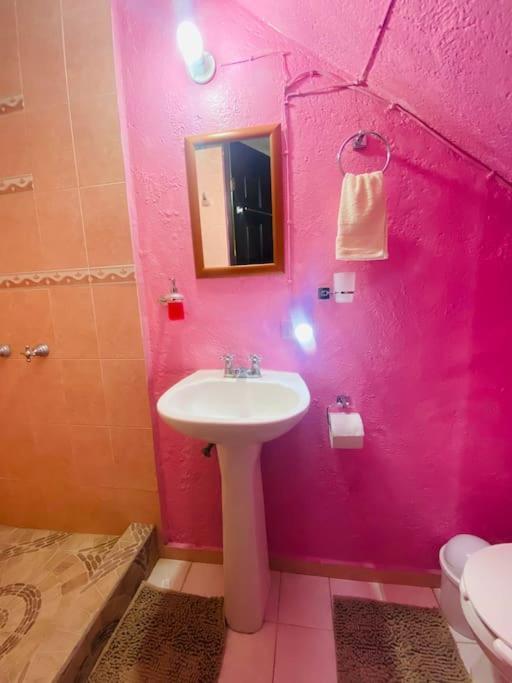 Casa Camilo - Cozy, Beautiful And Nice Separe Room San Miguel de Allende Exteriör bild
